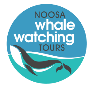 Noosa Whale Watching Tours