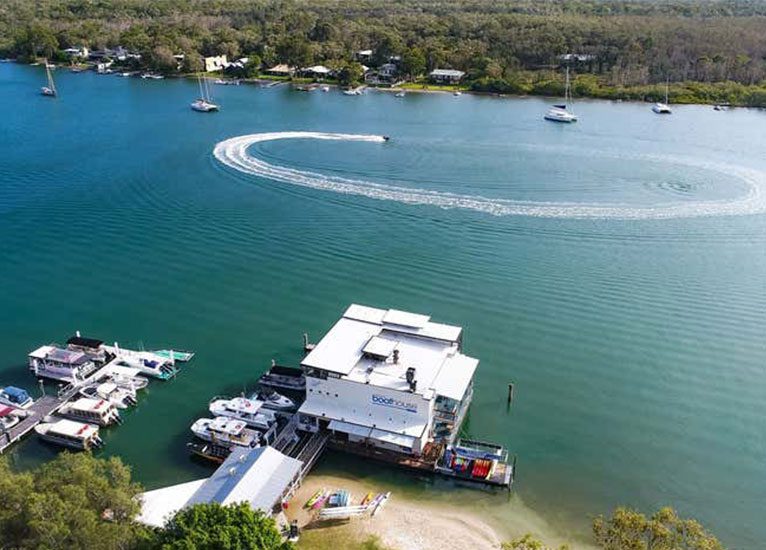 noosa whale watching tours