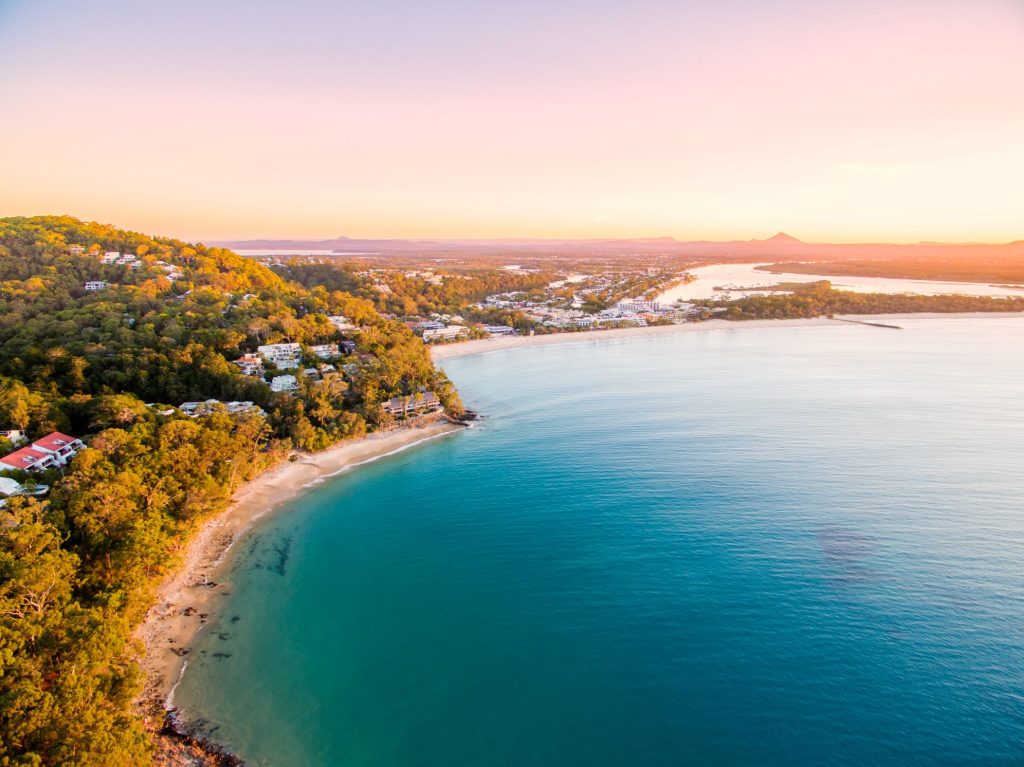 noosa whale watching tours