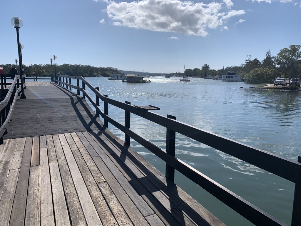 noosa whale watching tours
