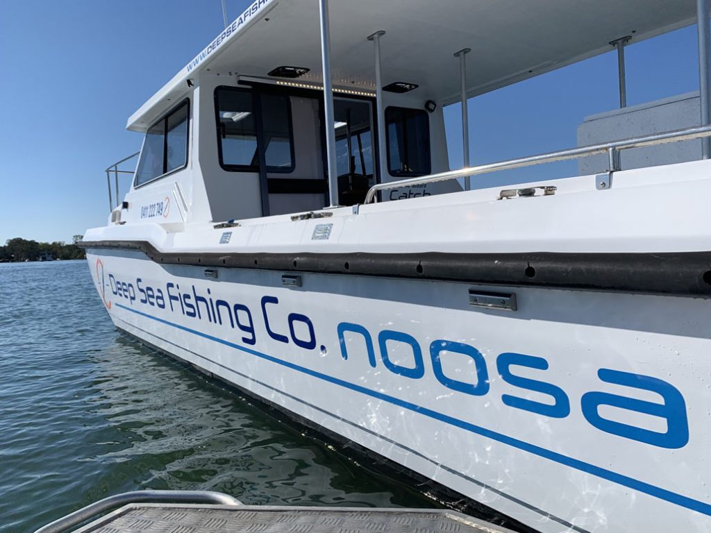 noosa whale watching tours
