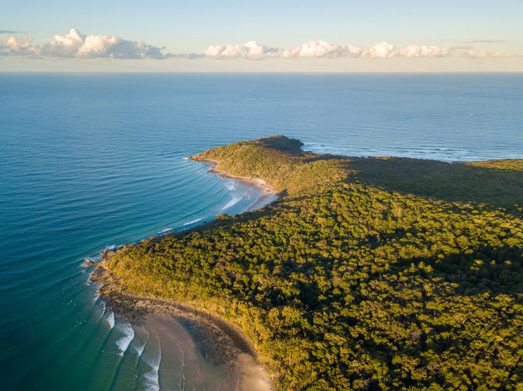 noosa whale watching tours